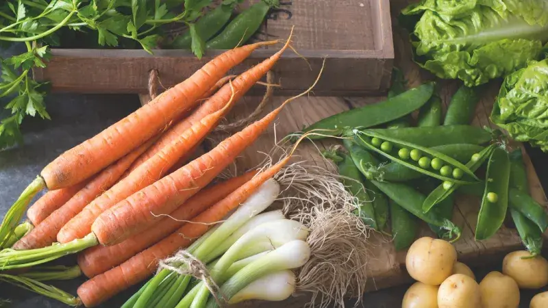 Jak skladovat letní zeleninu