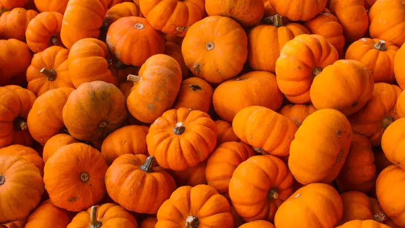 Rozhovor s nadšeným farmářem Bořkem Novákem