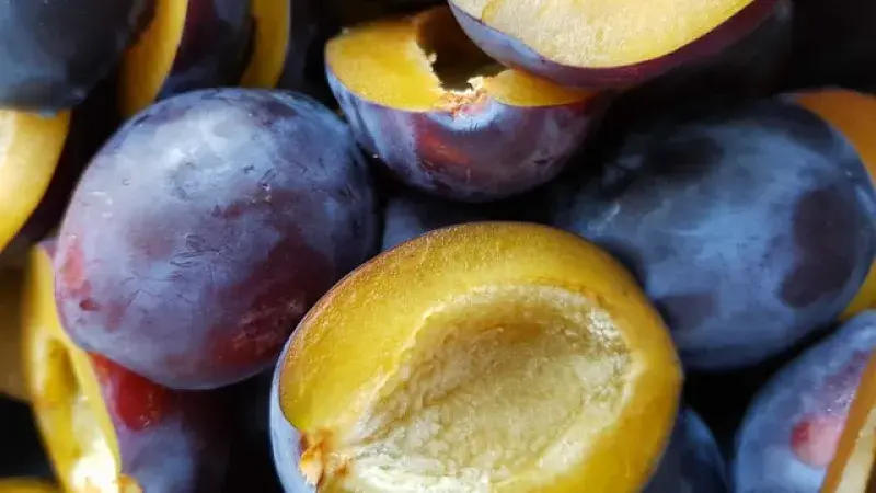 Švestky – ovoce plné chuti i zdraví