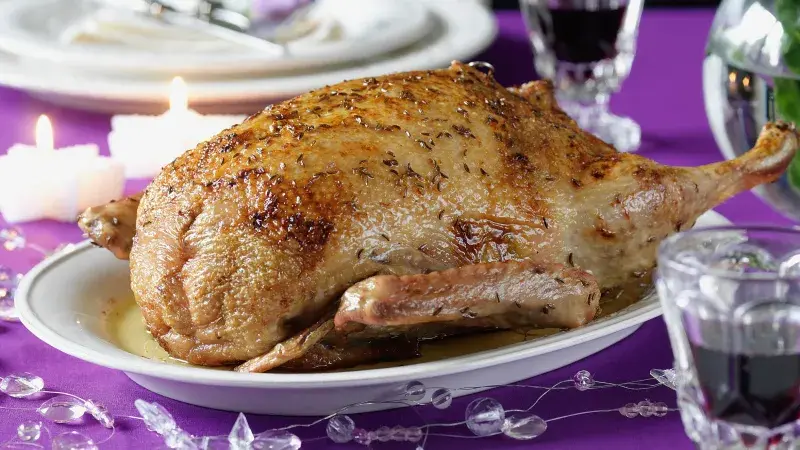 Kachna s brusinkovou nádivkou