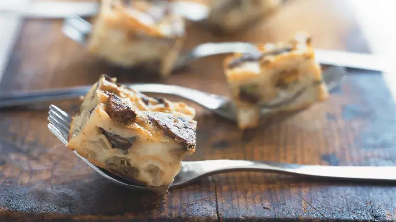 Krkonošský houbovec