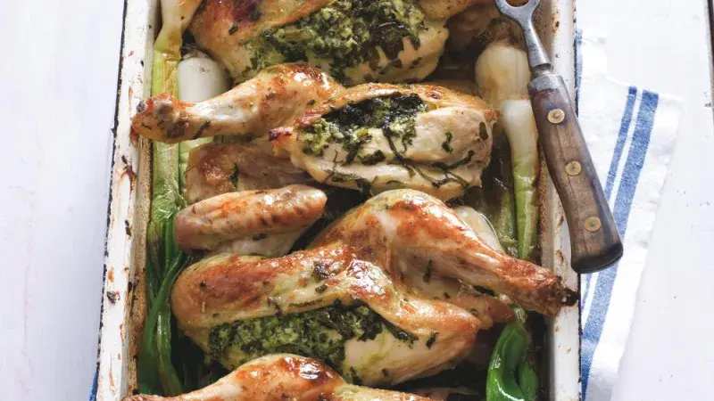 Jarní kuřátko 5x jinak