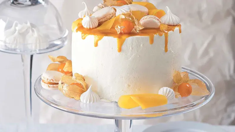 Dort „Mangový sen“