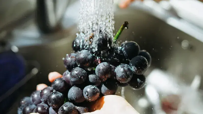 V kuchyni vždy čistě a bezpečně