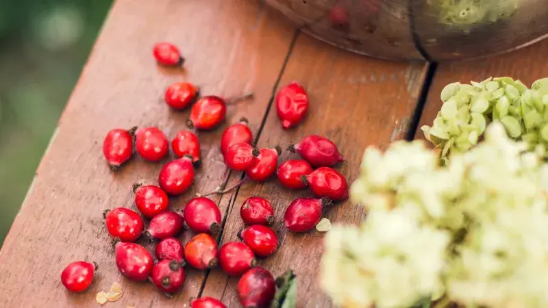 Šípky: vitaminy nabité plody podzimu