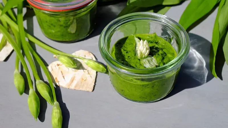 Účinky medvědího česneku