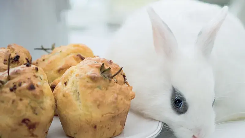 Muffiny s kozím sýrem a rozmarýnem
