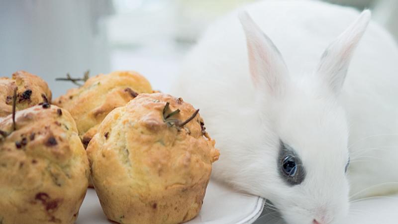Muffiny s kozím sýrem a rozmarýnem