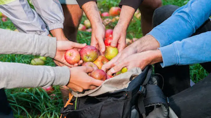 SOUTĚŽ o vstupenku na Mňam Procházku