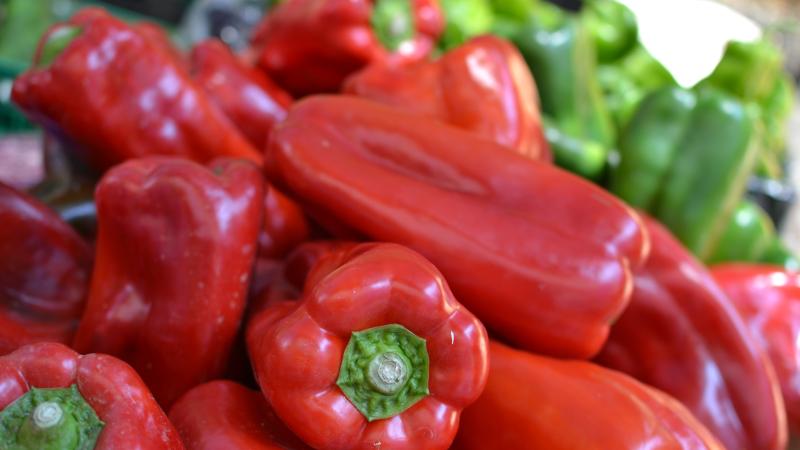 Zázrak z Ameriky – paprika: Jaké druhy existují a co s paprikami v kuchyni?