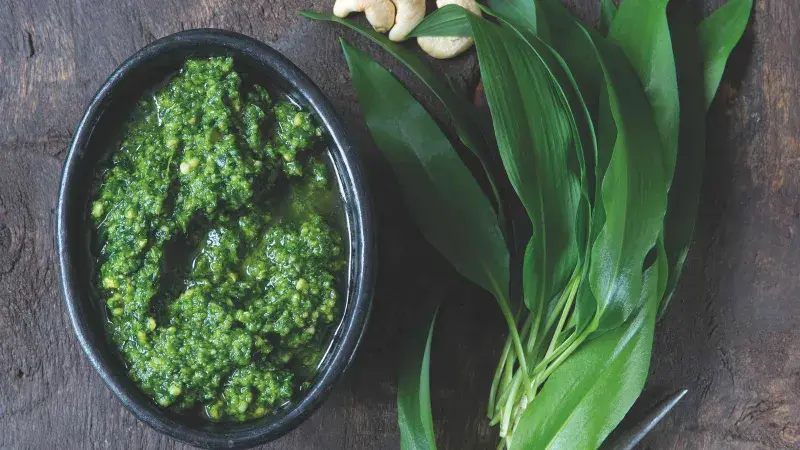 Pesto z medvědího česneku
