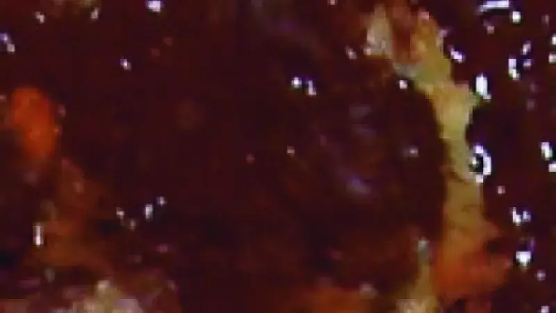 Ženevské placičky