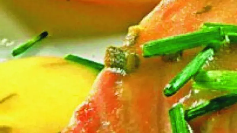 Losos se smetanovou omáčkou