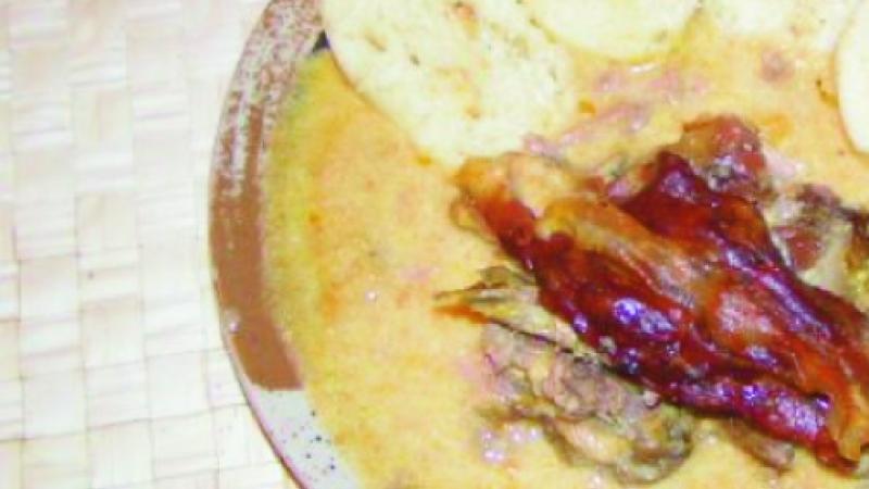 katkin bažant