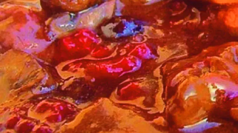 Feines Rehragout mit Beeren