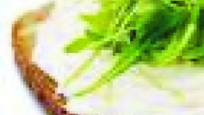 Slunečnicový chléb z pekárny