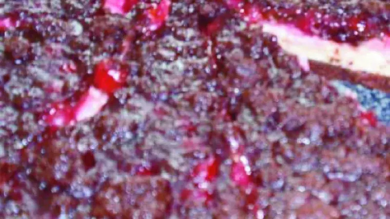 Tvarohový koláč s kakaovou drobenkou