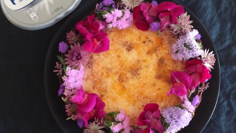Čokoládovo vanilkový  creme brûlée cheesecake