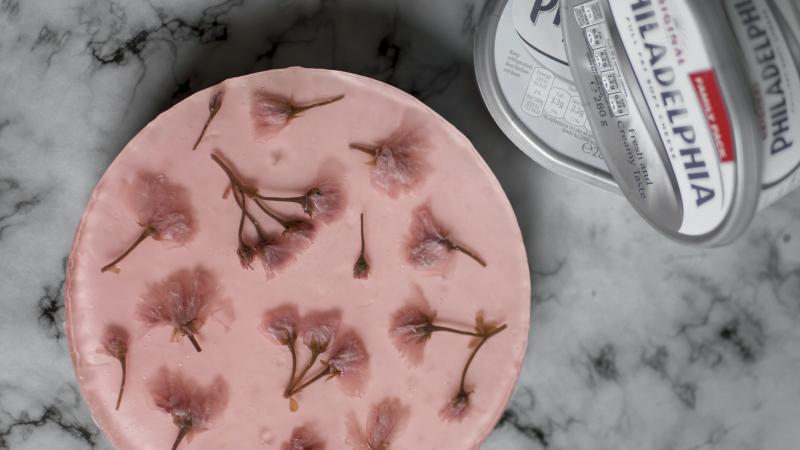 Sakura cherry blossom cheesecake s rebarborou