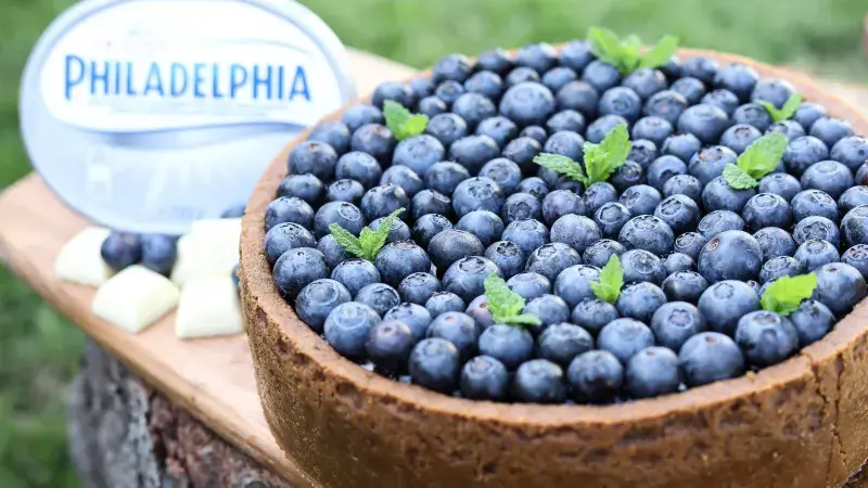 Čučoriedkový cheesecake s bielou čokoládou