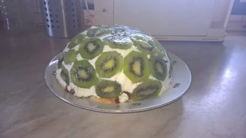 Kiwi dort