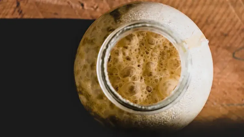 Droždí versus kvásek: pečte jako profesionál novinka