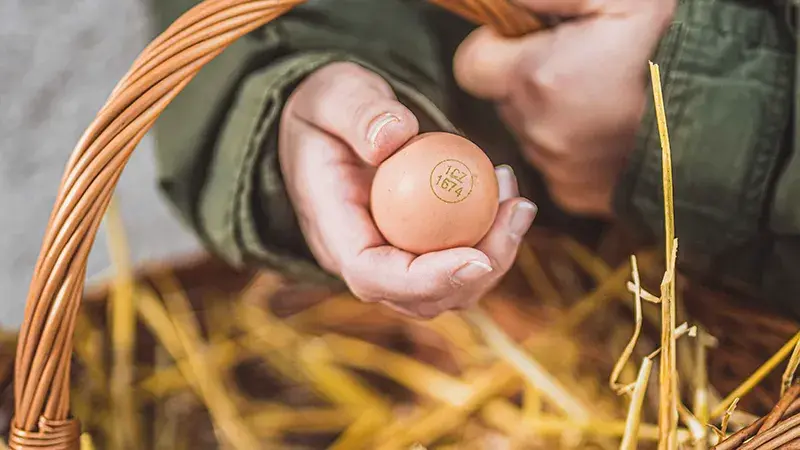 Pečlivá volba potravin dokáže zázraky. Jak začít? 