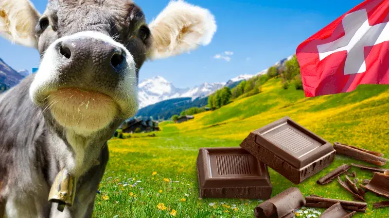 Švýcarsko - čokoláda