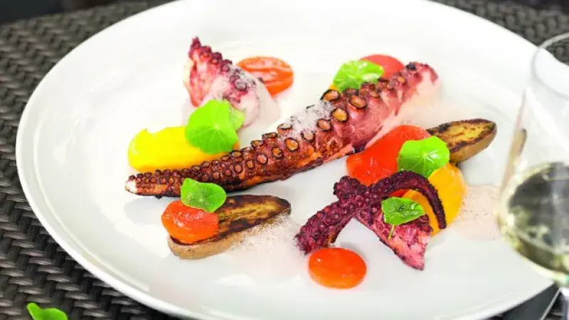 Čtvero příloh k chobotnici