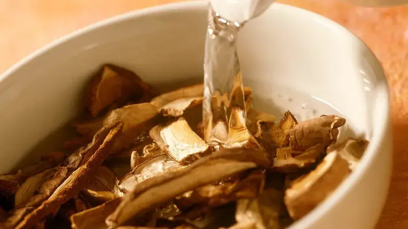 Namočené sušené houby