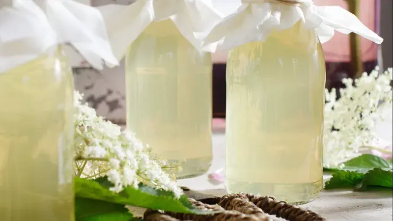 Domácí sirup z květu černého bezu