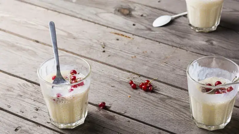 Tapiokový pudink s rybízem