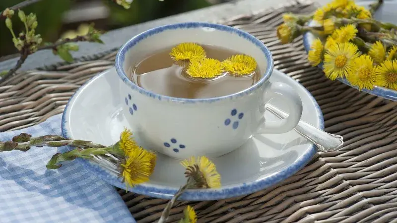 Čaj z podbělu