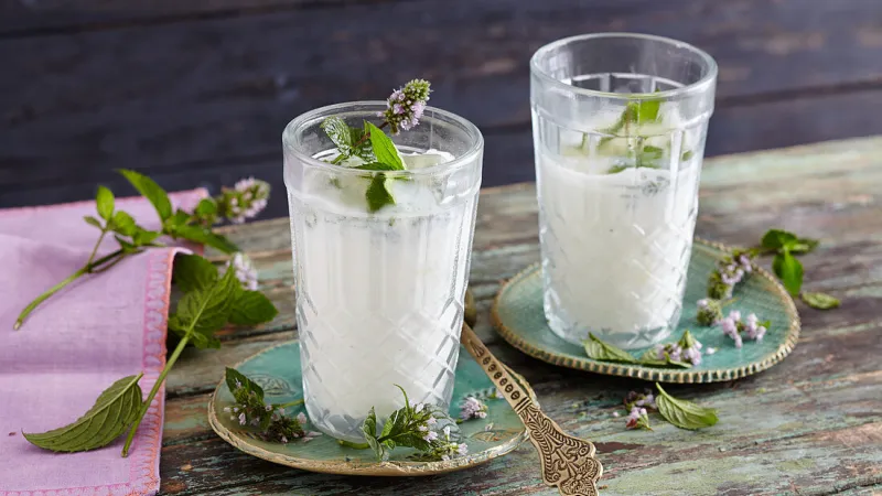 Ayran, jogurtový nápoj