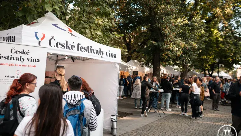 Plzeňský festival vína