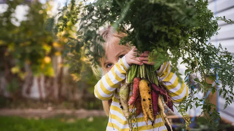 Bonduelle holčička se zeleninou