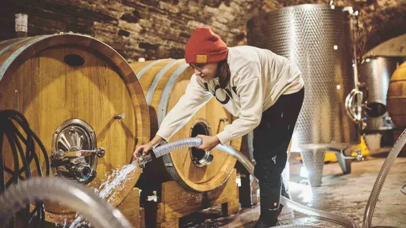 Dominika Černohorská