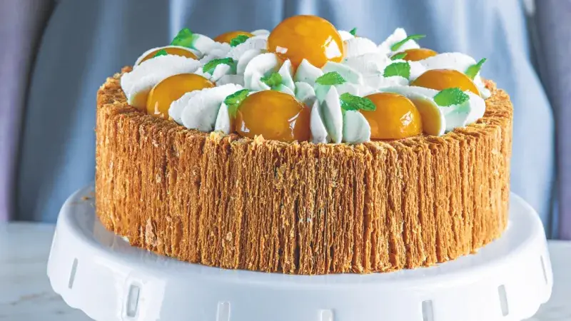 Dort Apricot Heleny Fléglové