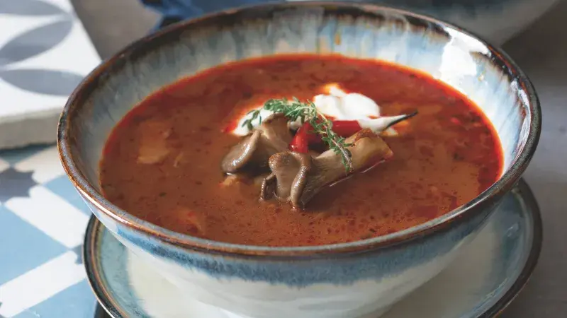 Dršťkovka z hlívy