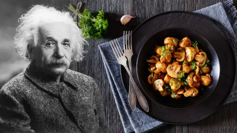 Einstein a žampiony