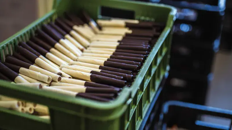 Petráčkovy Hořické trubičky