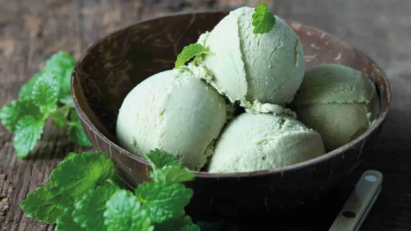 Kopřivová zmrzlina