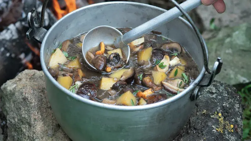 Kotlíkový houbový guláš