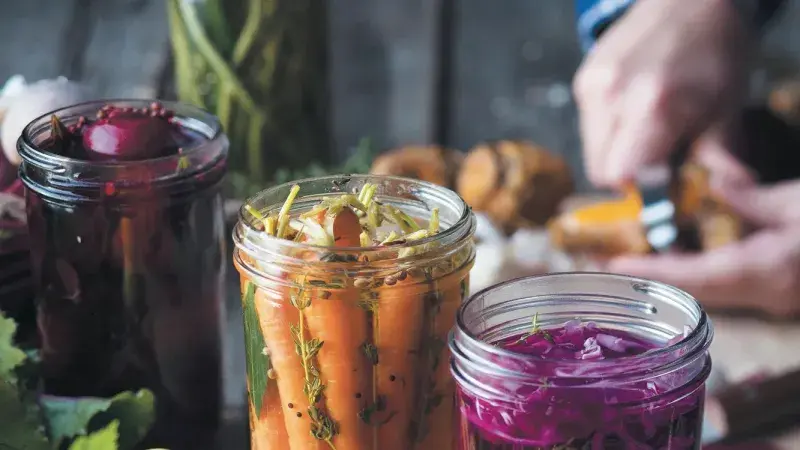 Fermentovaná červená řepa