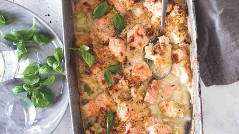 Losos a květák v bešamelu