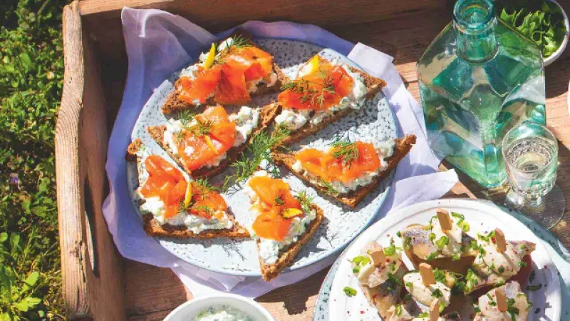 Losos a tzatziki na žitném chlebu