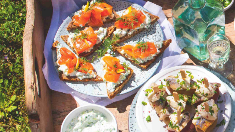 Losos a tzatziki na žitném chlebu