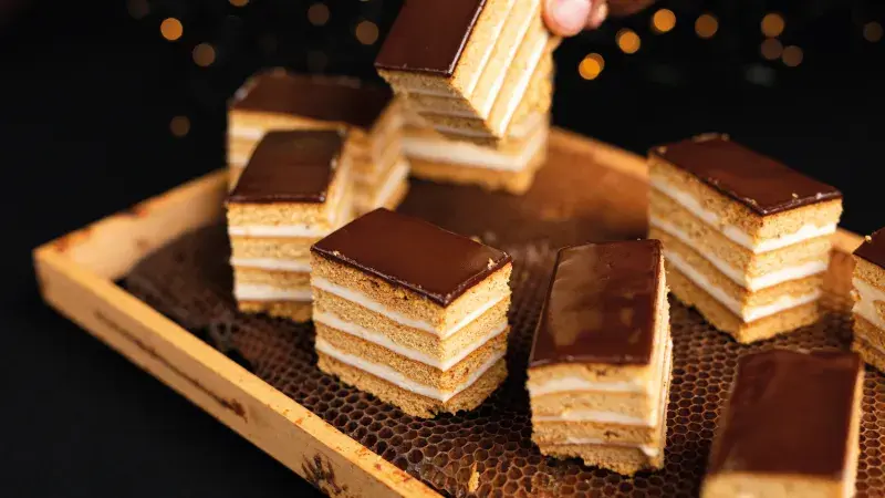 Medové řezy podle Pavla Berkyho