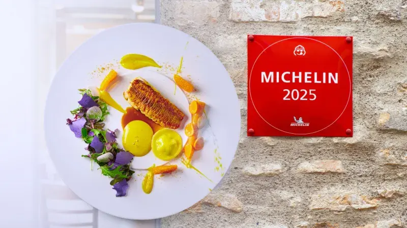 Michelin_food.jpg
