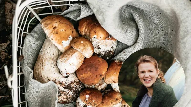 Glosa Anny Grosmanové